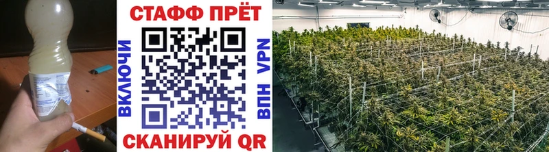 Продажа наркотиков Мирный Конопля KRAKEN как войти АМФЕТАМИН Мефедрон Гашиш APVP